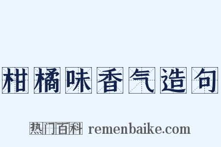 柑橘味香气造句是什么意思的图片